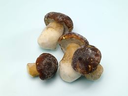 圖片 冷凍牛肝菌菇Q2 4-7CM