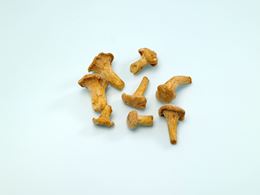 圖片 冷凍黃蘑菇 0-2CM
