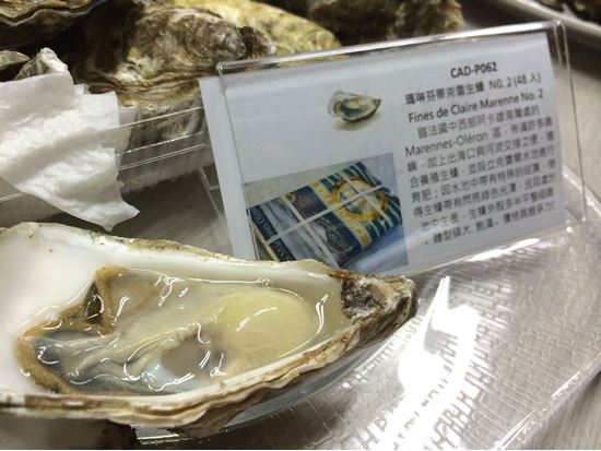 圖片 (48入)瑪琳區芬蒂克雷生蠔NO.2