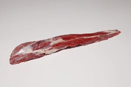 圖片 荷蘭小牛腓力