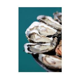 圖片 (48入)法國諾曼第生蠔 NO.2