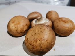 圖片 新鮮栗子菇