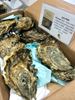 圖片 (48入)黑珍珠生蠔NO.1
